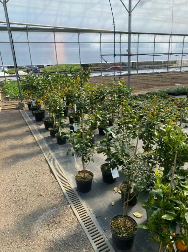 Le Jardin De Vanteaux Horticulteur Limoges Galerie 18