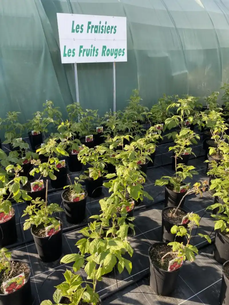 Le Jardin De Vanteaux Horticulteur Limoges Galerie 24