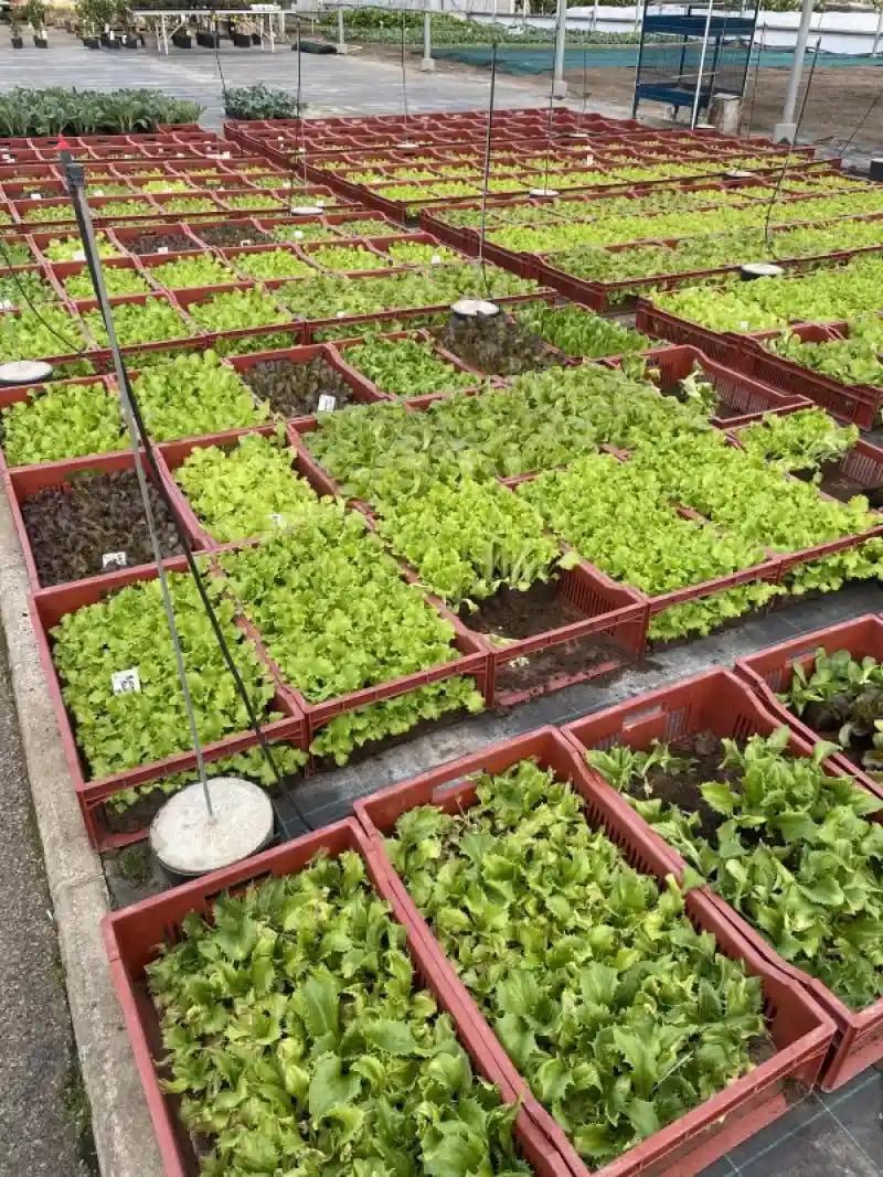 Le Jardin De Vanteaux Horticulteur Limoges Galerie 26